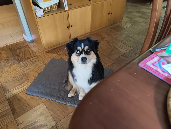 Ruby stares intently