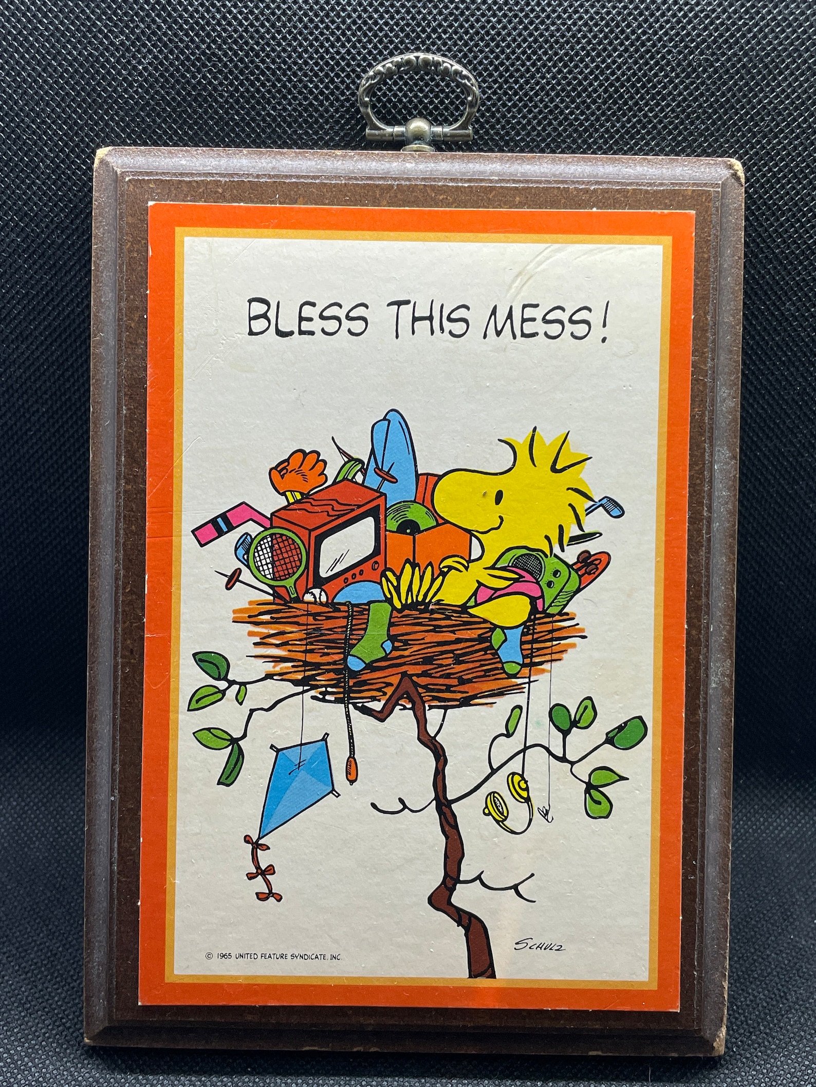 Woodstock in his nest with a caption of "Bless this mess!"