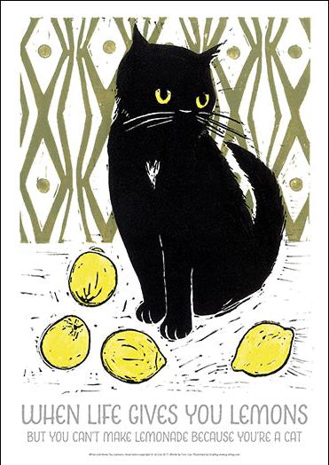 Black cat staring at lemons